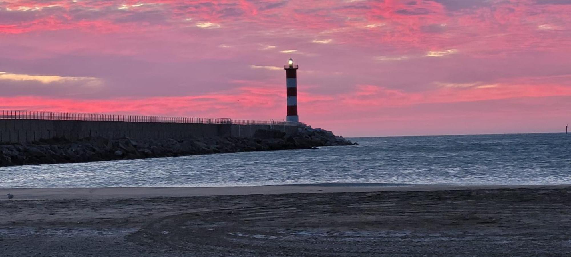 Le Mieukerien - Reserve Africaine 15 Mn, Plage 200M, Terrasse Пор-ла-Нувель Экстерьер фото