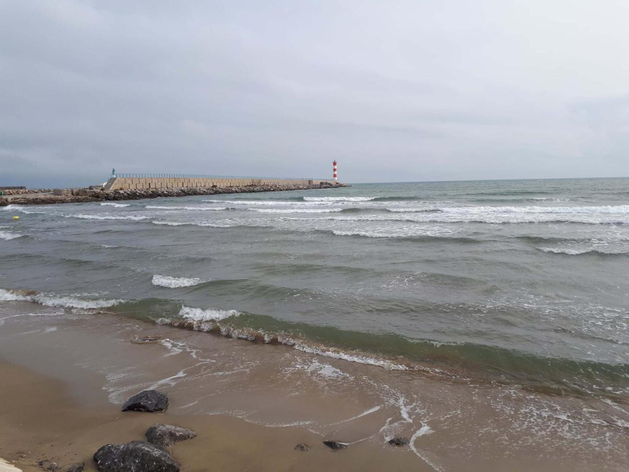Le Mieukerien - Reserve Africaine 15 Mn, Plage 200M, Terrasse Пор-ла-Нувель Экстерьер фото