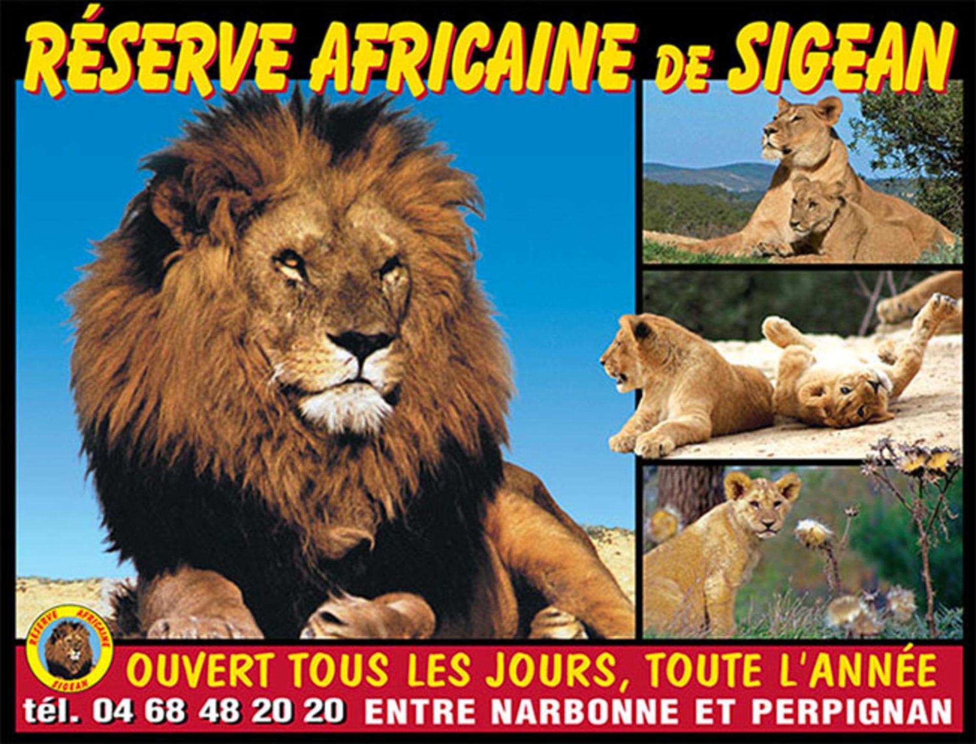 Le Mieukerien - Reserve Africaine 15 Mn, Plage 200M, Terrasse Пор-ла-Нувель Экстерьер фото